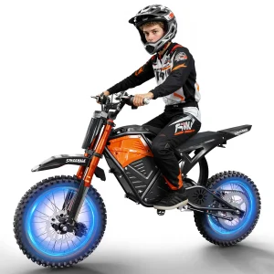 Adult Off-Road E-Bike